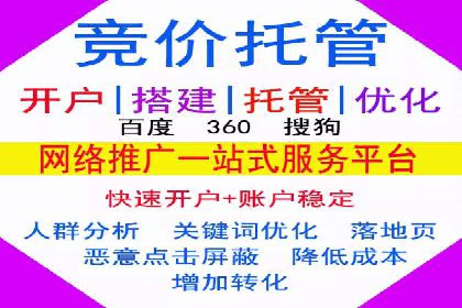 行业领先企业如何通过网络推广实现竞价增长